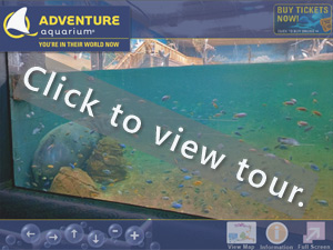 Virtual Tour Thumbnail