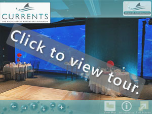 Virtual Tour Thumbnail