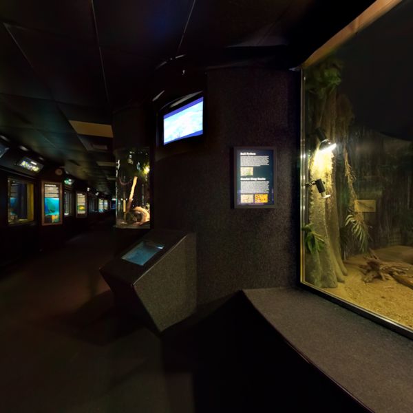 National Aquarium in Washington, DC Virtual Tour